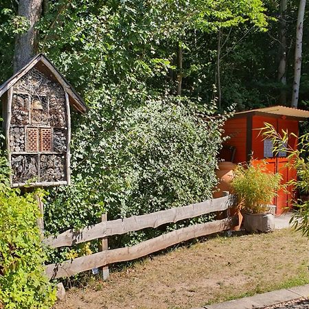 Ferienhaus Am Wald Ronshausen Zewnętrze zdjęcie