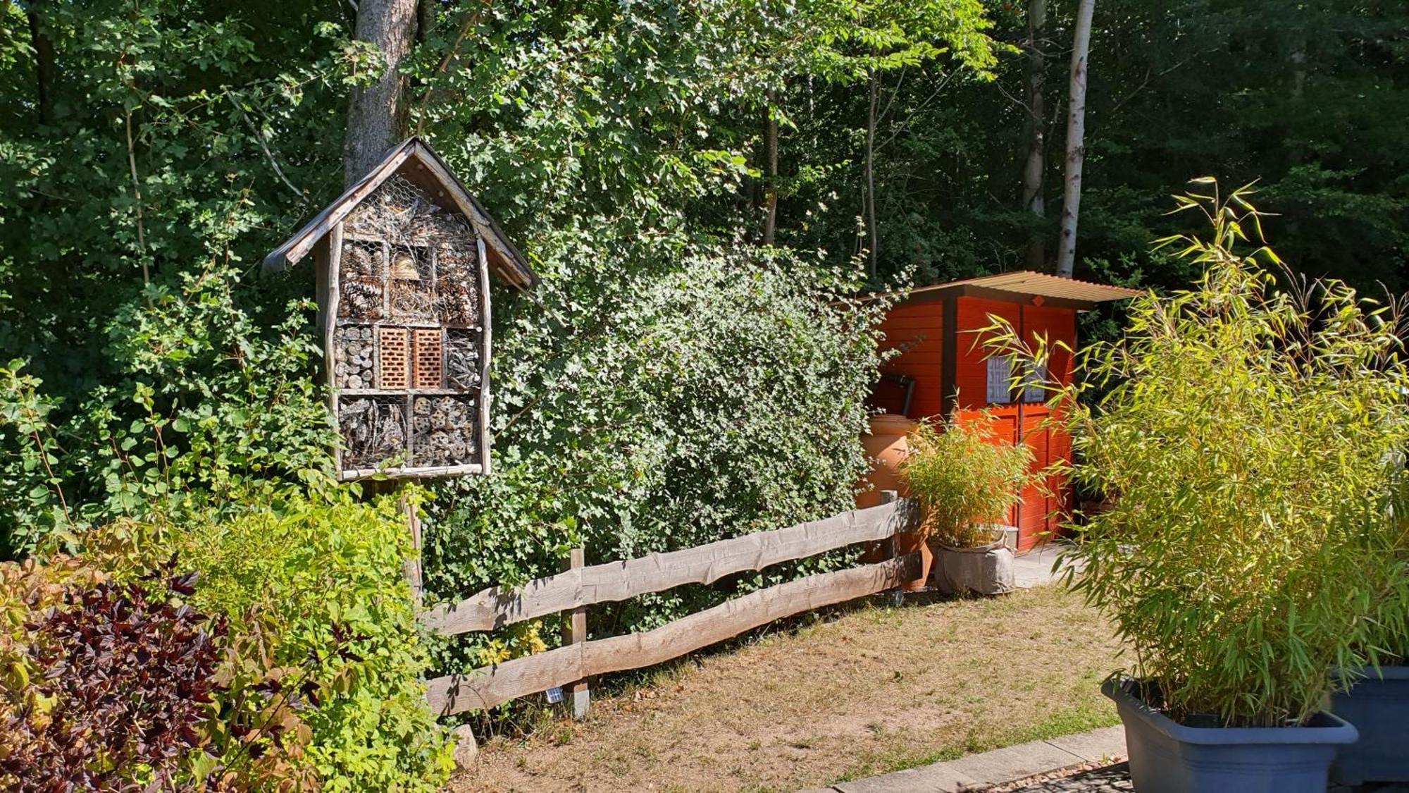 Ferienhaus Am Wald Ronshausen Zewnętrze zdjęcie