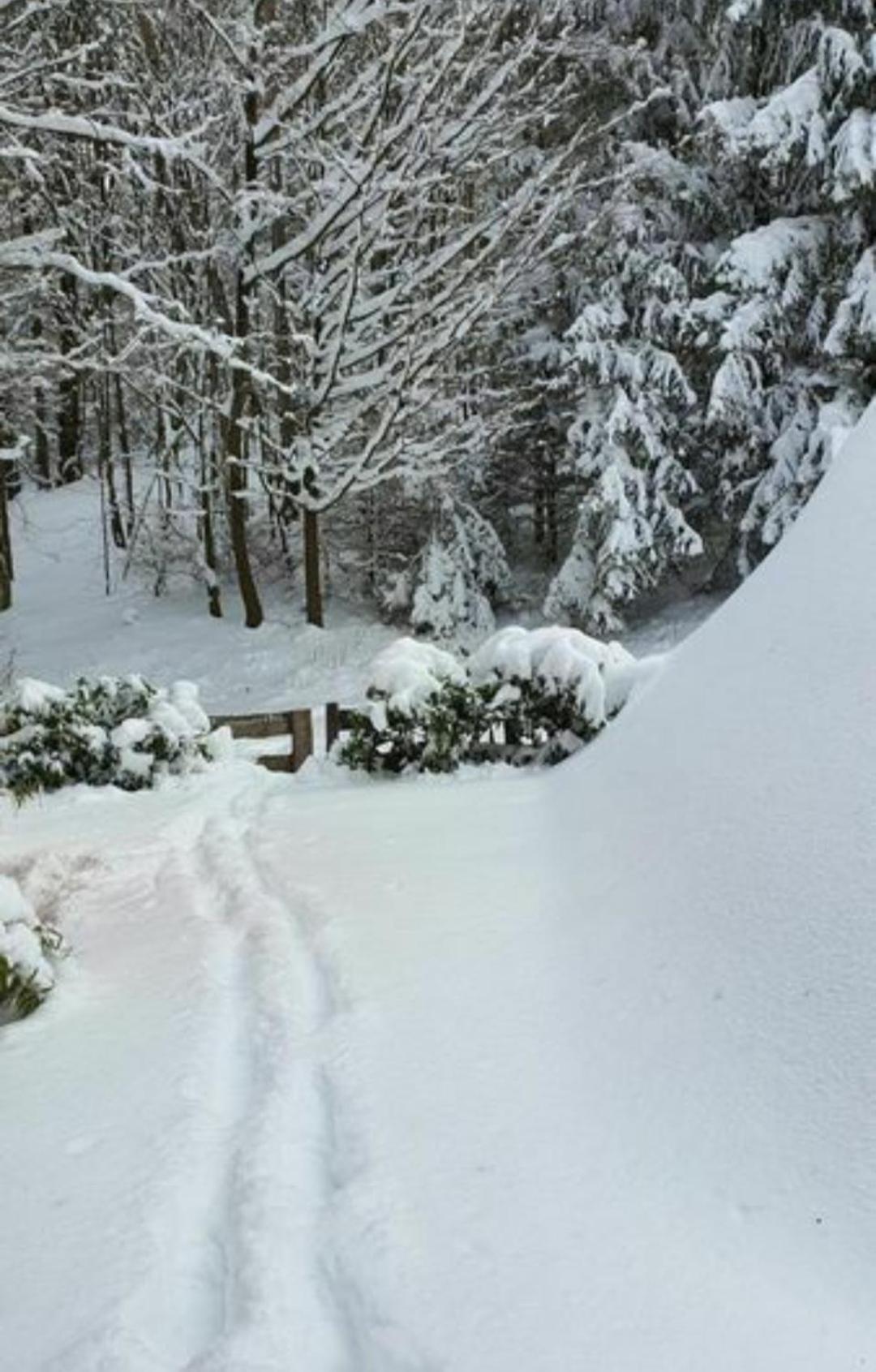 Ferienhaus Am Wald Ronshausen Zewnętrze zdjęcie